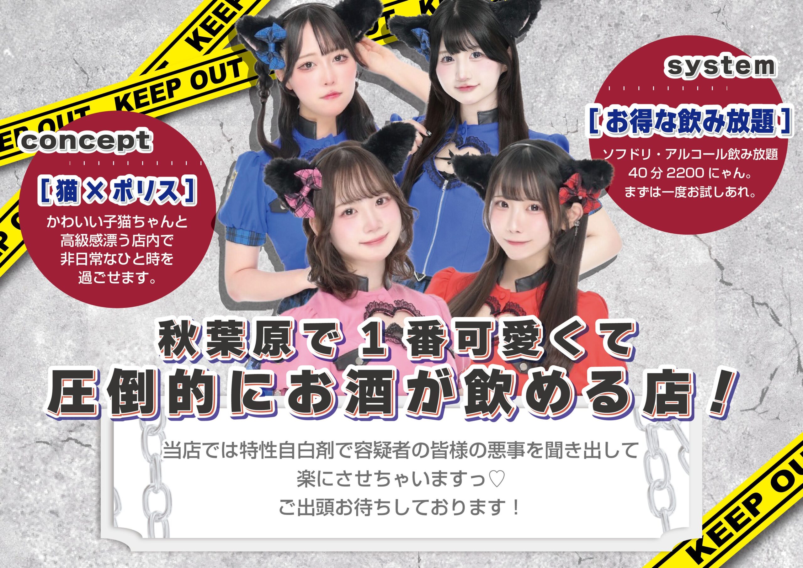 秋葉原コンカフェぷりしーにゃ